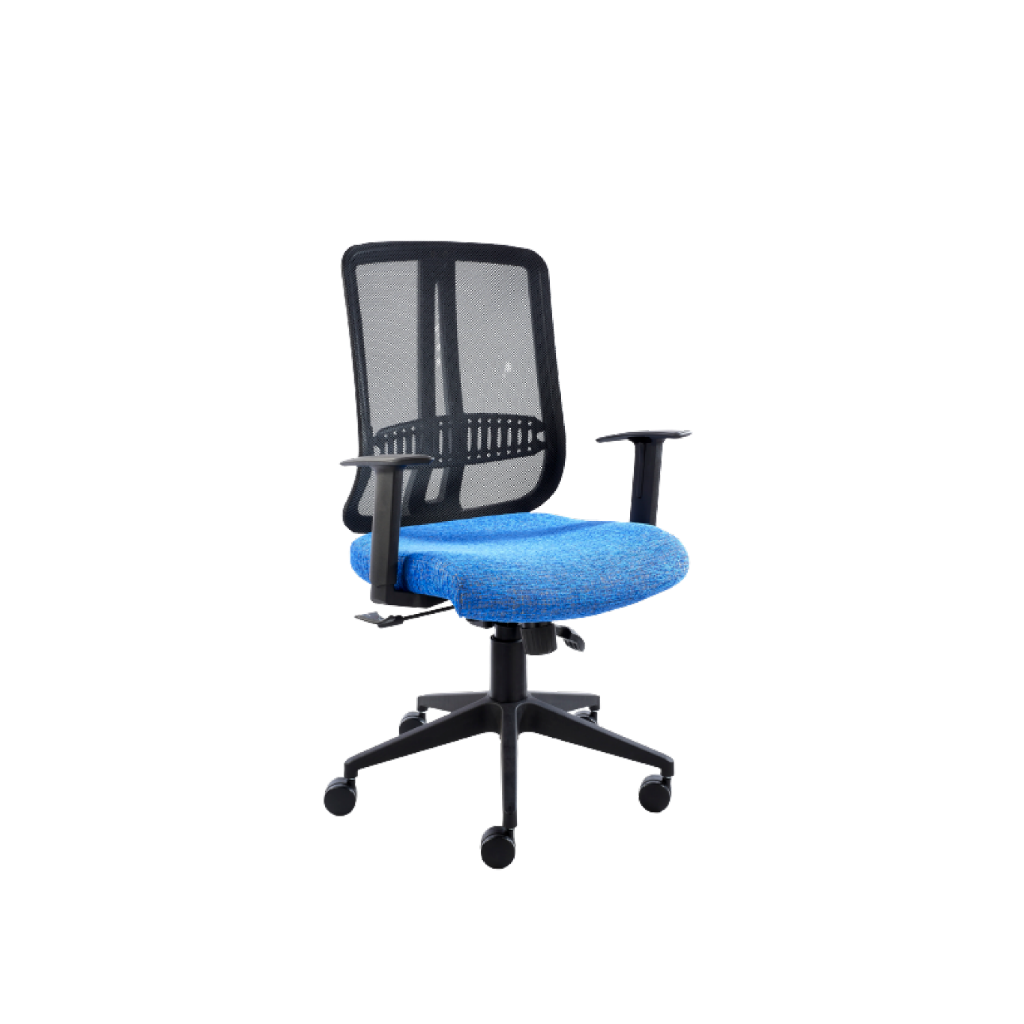 Medium Back Chair