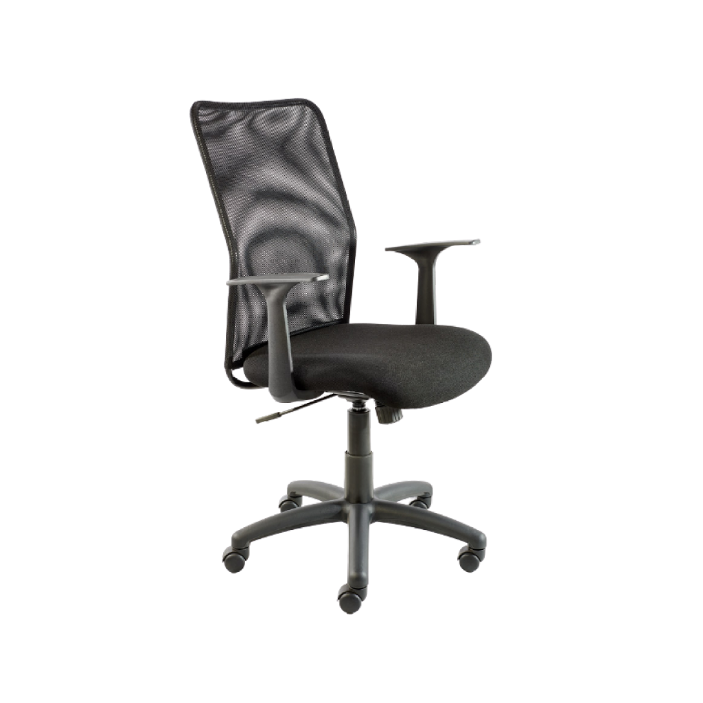 Medium Back Chair with arms